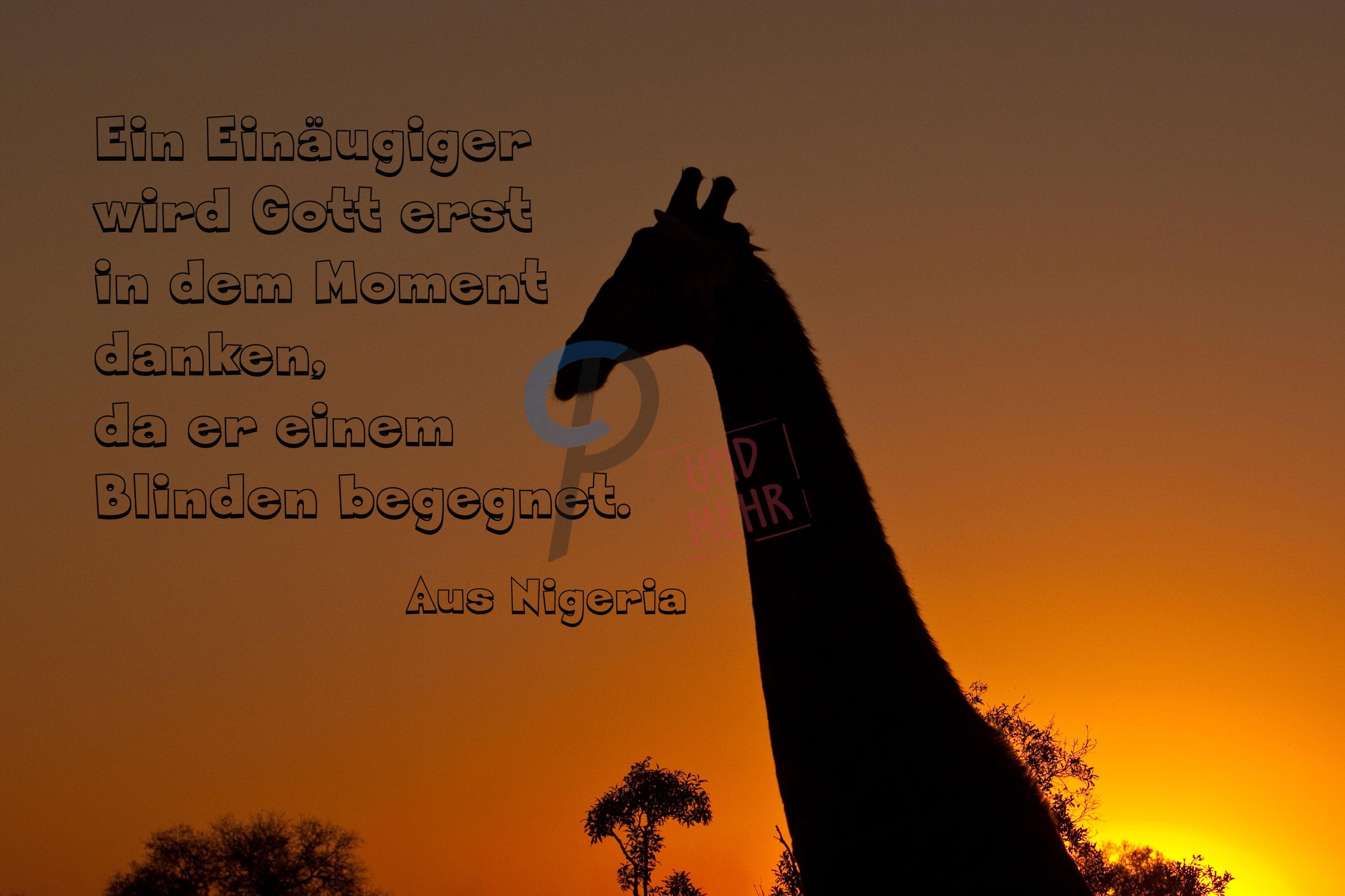 Weisheiten aus Afrika Inspirationen Inspirations Poster