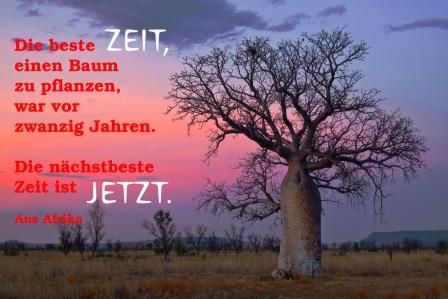 Die beste Zeit