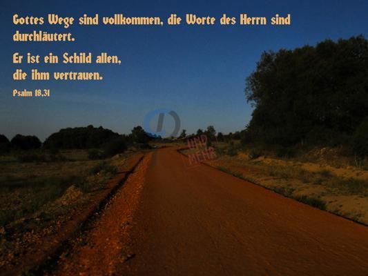 437 - Psalm 18,31