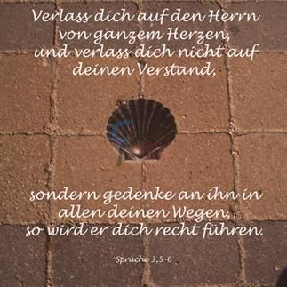 452 - Sprüche 3,5-6