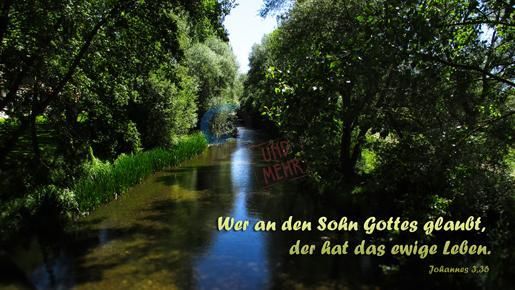 417 - Johannes 3,36